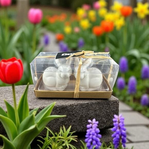 TAG NWT White Ceramic Easter Bunnies Salt and Pepper Shaker Set Boxed - Picture 1 of 6